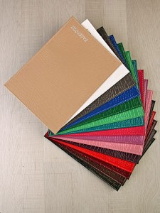 YW-016 Обложка на паспорт загран A-050