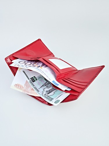 Кошелек женский "107-309" (нат.кожа) 