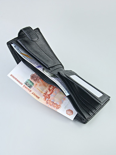 Портмоне мужское "208"